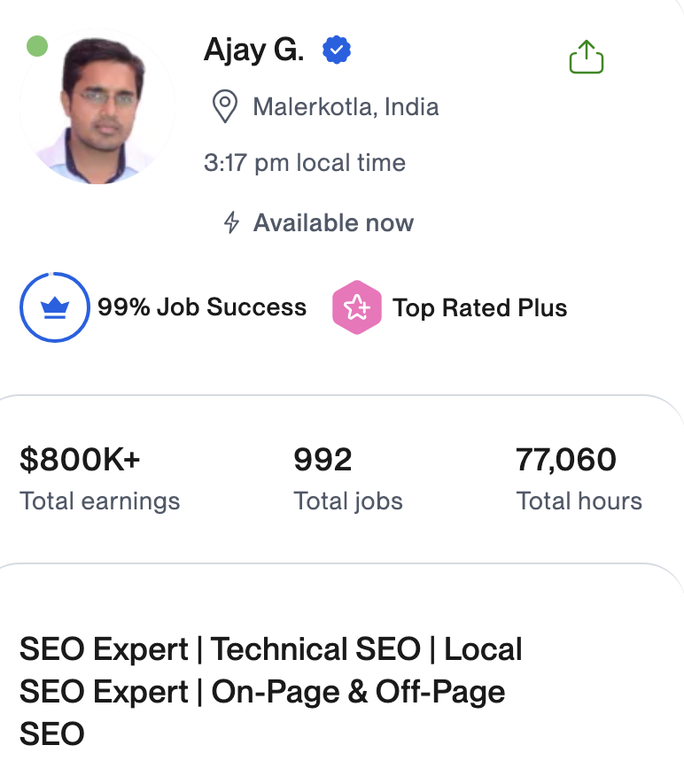 Top Rated Plus Upwork SEO expert